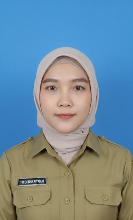 TRI GODHA FITRIANI, M.K.M / KEPALA URUSAN DANARTA